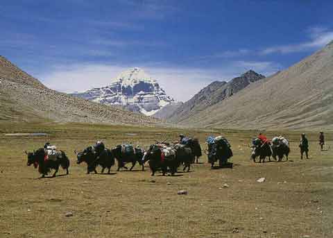 
Kailash from north - Kailash Tibets heiliger Berg book
